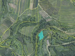 Prodej pole, Slavošov, 6916 m2