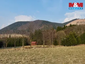 Prodej pozemku, Královec, 16741 m2