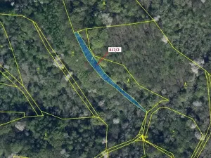 Dražba lesa, Zubrnice, 815 m2