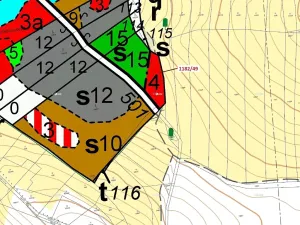 Dražba lesa, Přeborov, 1165 m2