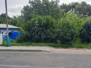 Prodej zahrady, Loučany, 1622 m2