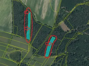 Prodej podílu lesa, Horšovský Týn, 4280 m2