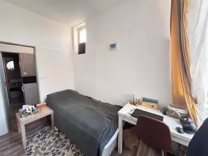 Pronájem bytu 1+1, Praha - Dejvice, Pod kaštany, 14 m2