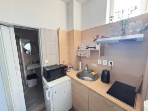 Pronájem bytu 1+1, Praha - Dejvice, Pod kaštany, 14 m2