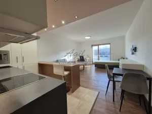 Pronájem bytu 1+kk, Brno, 50 m2