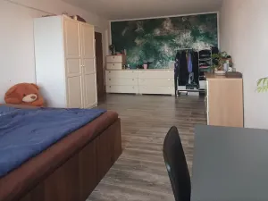 Prodej bytu 3+1, Mladá Boleslav - Mladá Boleslav II, Na Radouči, 84 m2