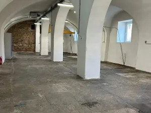 Pronájem skladu, Hajany, 900 m2