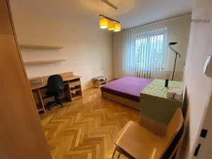 Pronájem bytu 1+1, Brno, Lužická, 33 m2