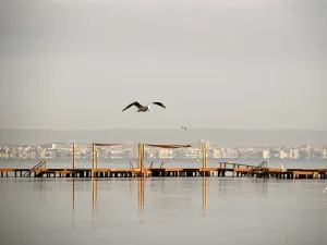 Prodej rodinného domu, San Pedro del Pinatar, Španělsko, 104 m2