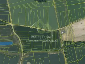 Prodej pole, Šťáhlavy, 27962 m2