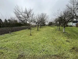 Prodej zahrady, Říkovice, 730 m2