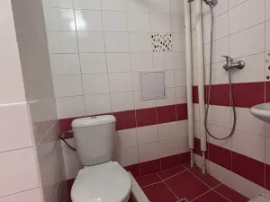 Pronájem bytu 1+kk, Ostrava - Hrabůvka, Krakovská, 21 m2