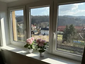 Pronájem bytu 1+1, Velké Hamry, 41 m2