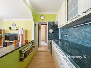 Prodej bytu 4+kk, Litoměřice - Předměstí, Družstevní, 64 m2