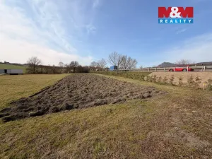 Prodej pole, Jenčice, 3167 m2