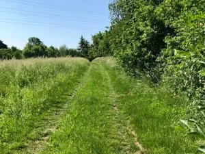 Prodej zahrady, Dalovice, 5231 m2