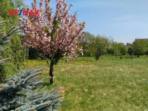 Prodej pozemku pro bydlení, Mikulovice, 1350 m2