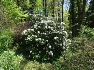 Prodej chaty, Křižanovice, 40 m2