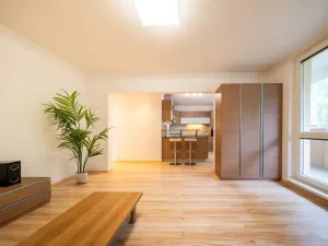 Pronájem bytu 2+kk, Brno, Kunštátská, 50 m2