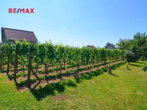 Prodej zahrady, Mikulov, 997 m2