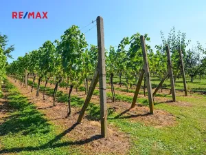 Prodej zahrady, Mikulov, 997 m2