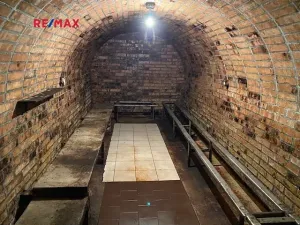 Prodej vinného sklepa, Moravany, 60 m2