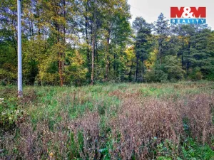 Prodej louky, Biskupice - Zálesí, 2421 m2