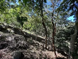 Prodej pozemku, Coxen Hole, Roatán, Honduras, 2107 m2