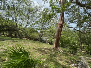 Prodej pozemku, Coxen Hole, Roatán, Honduras, 1821 m2