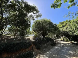 Prodej pozemku, Coxen Hole, Roatán, Honduras, 2400 m2