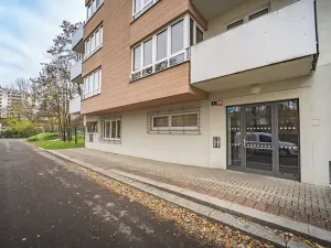 Prodej bytu 1+kk, Praha - Žižkov, U staré cihelny, 41 m2