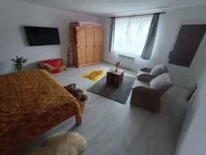 Prodej rodinného domu, Mrákov, 200 m2