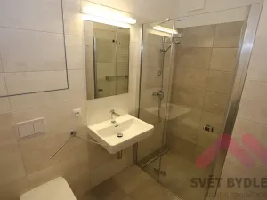 Pronájem bytu 1+kk, Praha - Karlín, U Mlýnského kanálu, 42 m2