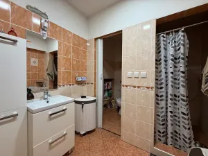 Prodej rodinného domu, Prace, K Mohyle míru, 185 m2