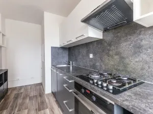 Prodej bytu 3+1, Ústí nad Labem, Přemyslovců, 74 m2