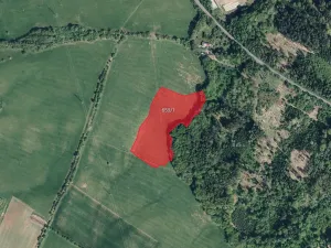 Prodej louky, Seč, 19260 m2