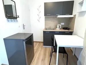 Pronájem bytu 1+kk, Kladno, Hřebečská, 16 m2