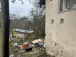 Prodej zahrady, Brno, Vinohrady, 990 m2