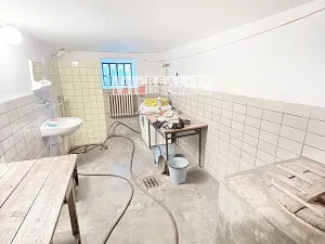 Prodej vícegeneračního domu, Dlouhá Loučka, Na Fibichu, 238 m2