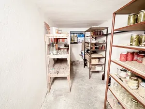 Prodej vícegeneračního domu, Dlouhá Loučka, Na Fibichu, 238 m2