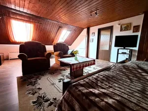 Prodej rodinného domu, Vysoké Veselí, 290 m2