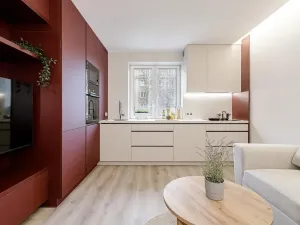 Pronájem bytu 2+kk, Ostrava, Čujkovova, 29 m2