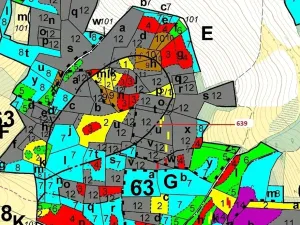Dražba lesa, Kuřimany, 8912 m2