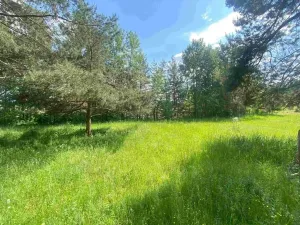 Dražba louky, Býkov-Láryšov, 2300 m2