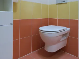 Pronájem bytu 2+kk, Brno, Netušilova, 42 m2