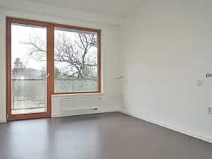Pronájem bytu 3+kk, Brno, Pastviny, 99 m2