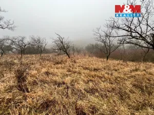 Prodej zahrady, Židlochovice, 2207 m2