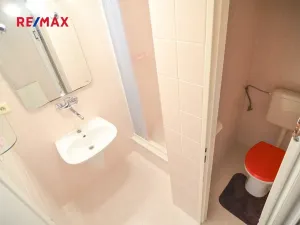 Prodej rodinného domu, Moravský Žižkov, U Sklepů, 187 m2