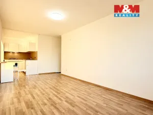 Prodej bytu 1+kk, Havířov - Podlesí, Aloise Jiráska, 35 m2