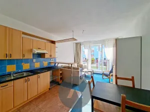 Pronájem bytu 1+kk, Brno, Otiskova, 33 m2